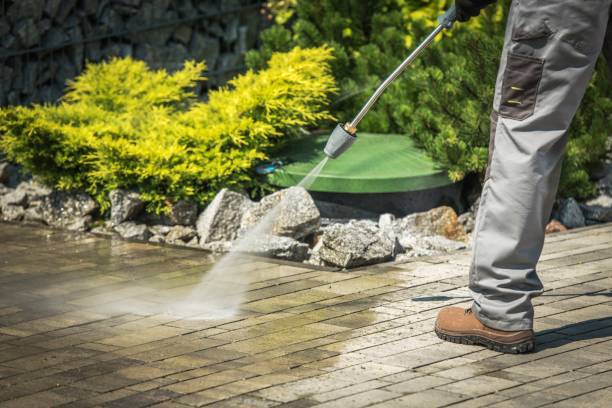 Best Animal Enclosure Cleaning  in Arden Arde, CA